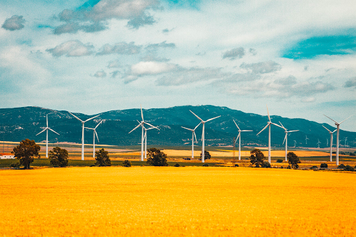 Bonos Verdes de Francia