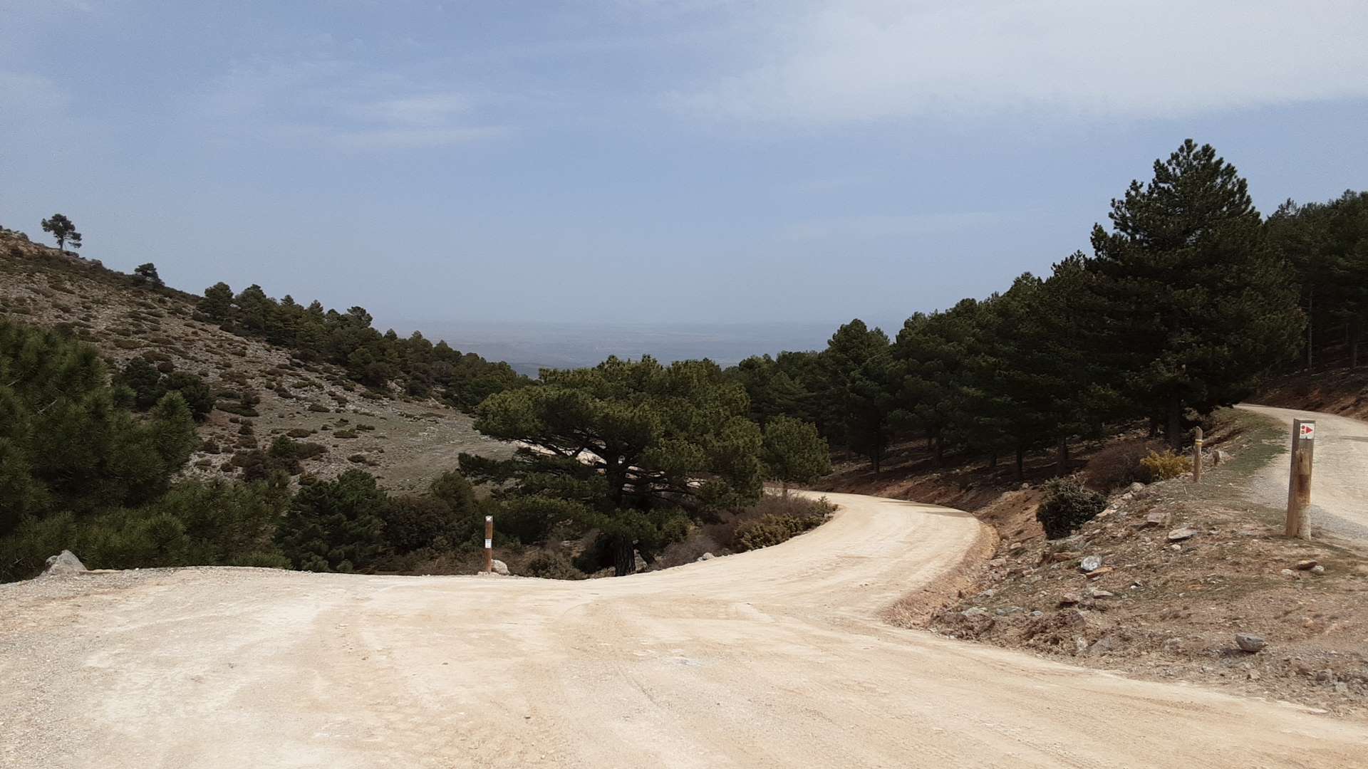 Caminos forestales en Andalucía