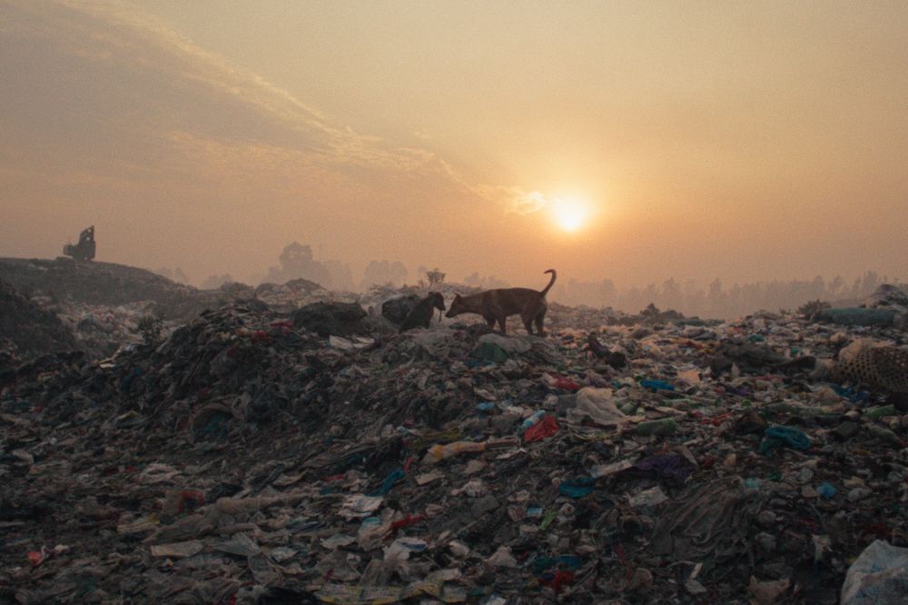 Rome Climate Talks, climate crisis in German cinema