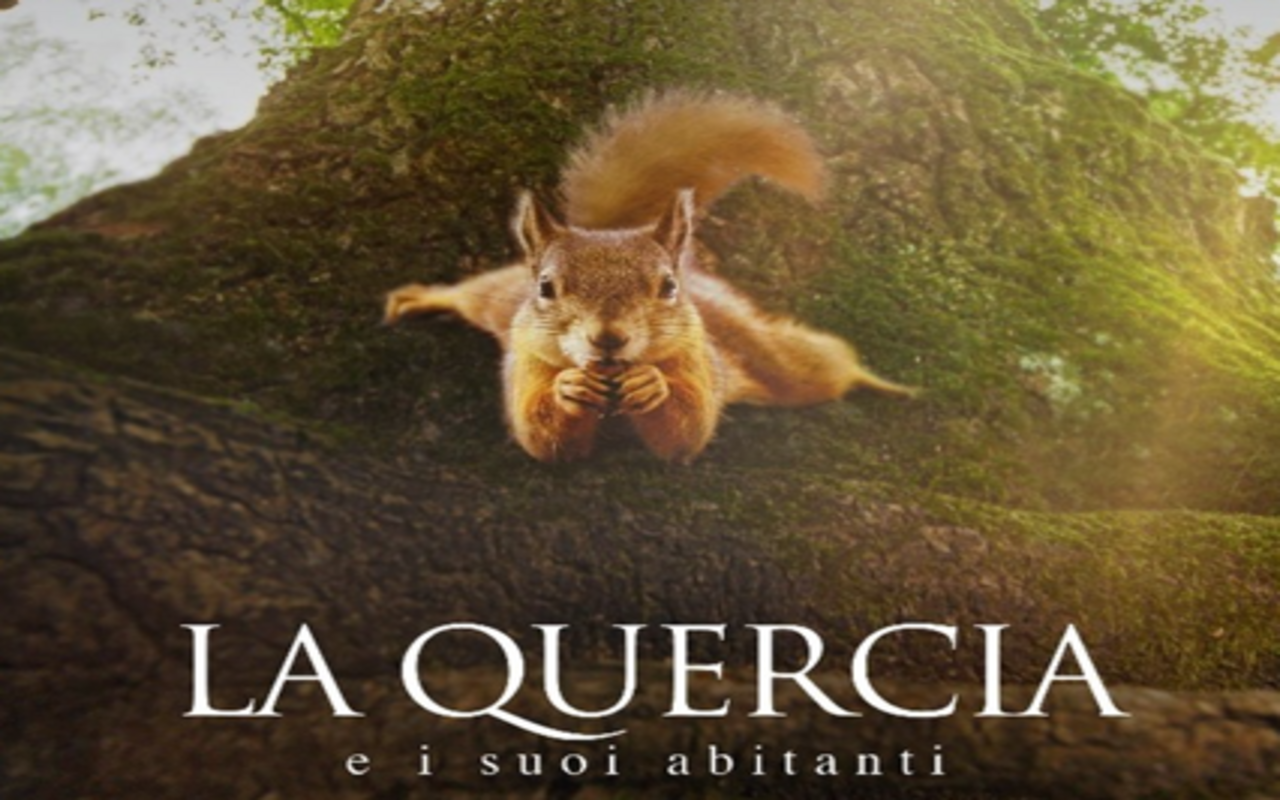 "The Oak and its inhabitants": from January 25th an extraordinary journey into the kingdom of nature - Il Giornale dell'Ambiente