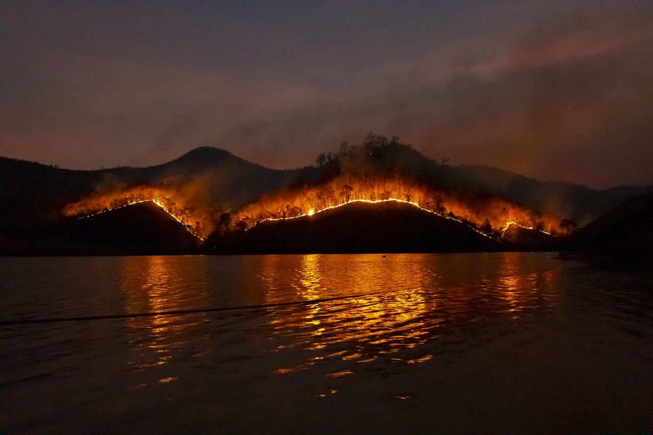 incendios forestales