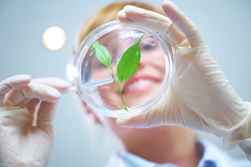 Bioeconomía startups