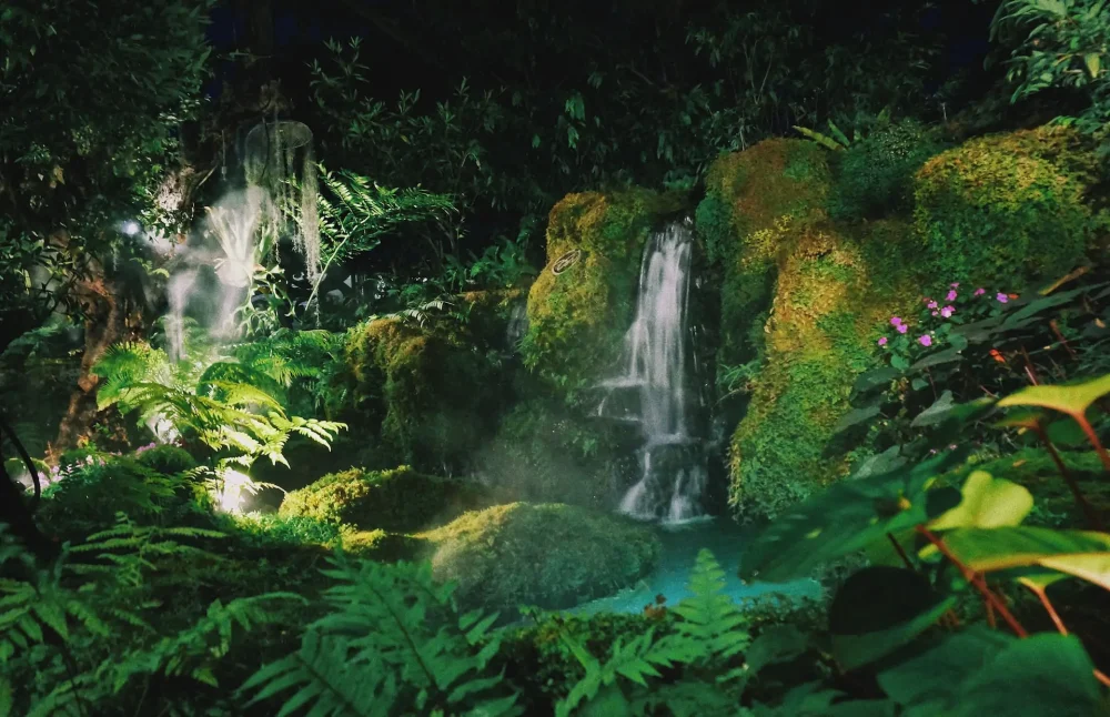 Amazon: a Marshall Plan is needed to save the green lung