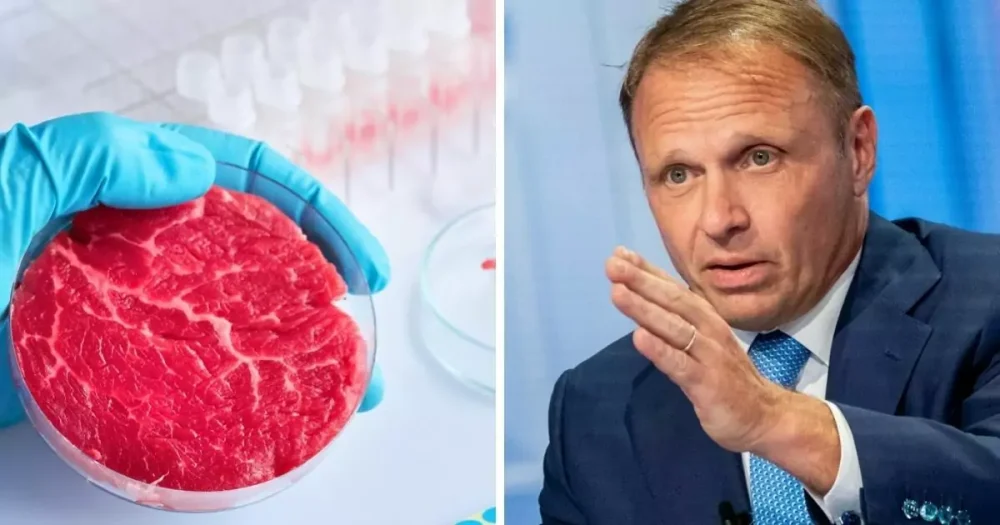 Cultured meat: twist on the Lollobrigida bill