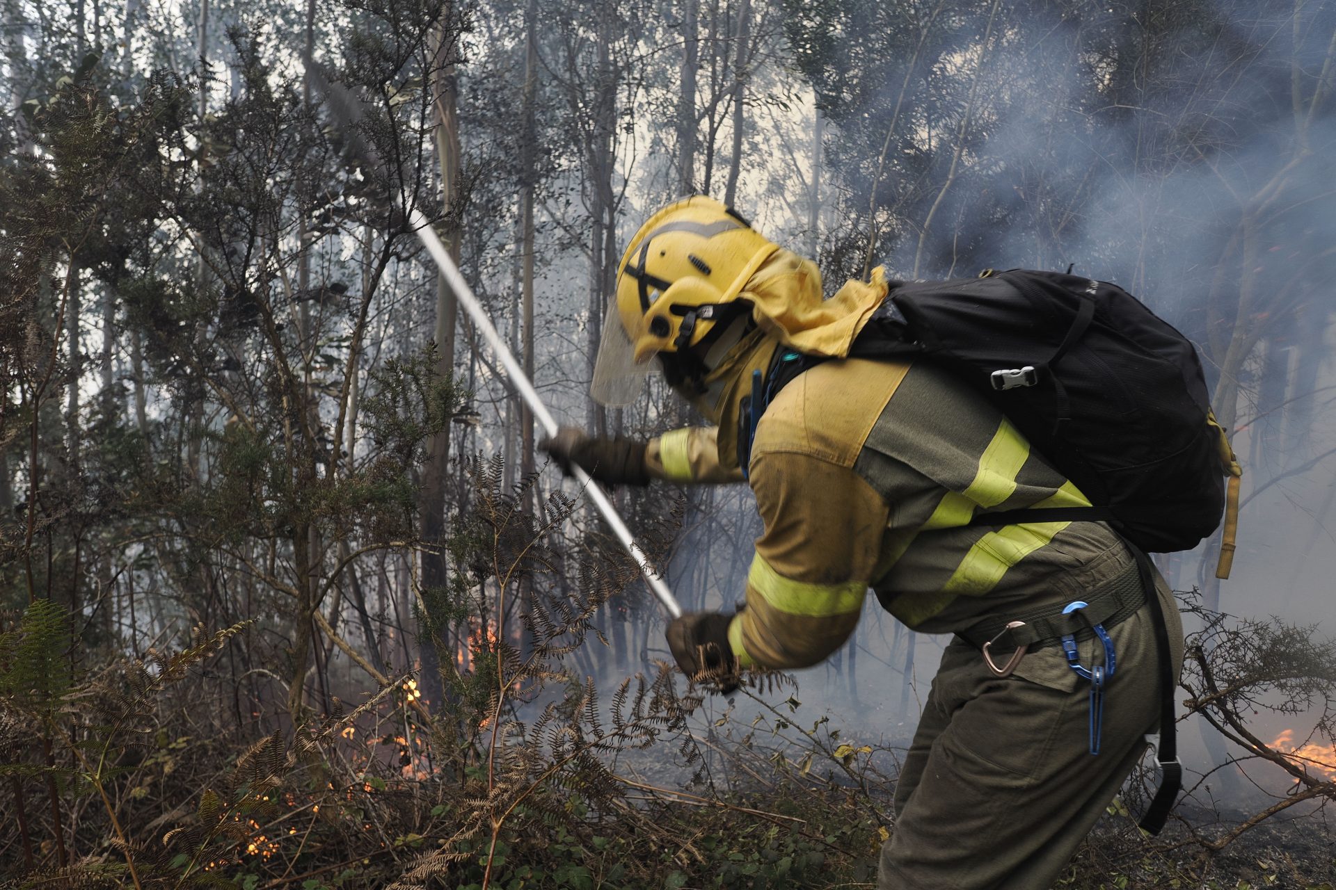 Emergencia ecológica en Galicia Greenpeace