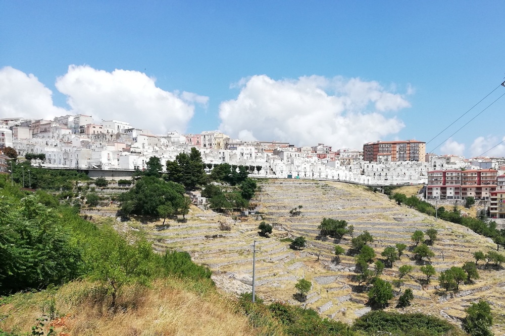 Gargano National Park: a 1 million and 110,000 euros project financed for the restoration of dry stone walls in the municipal areas of Monte Sant'Angelo and Mattinata - Il Giornale dell'Ambiente