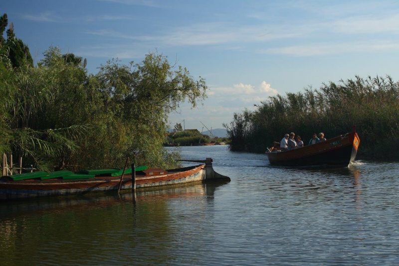 albufera de valencia