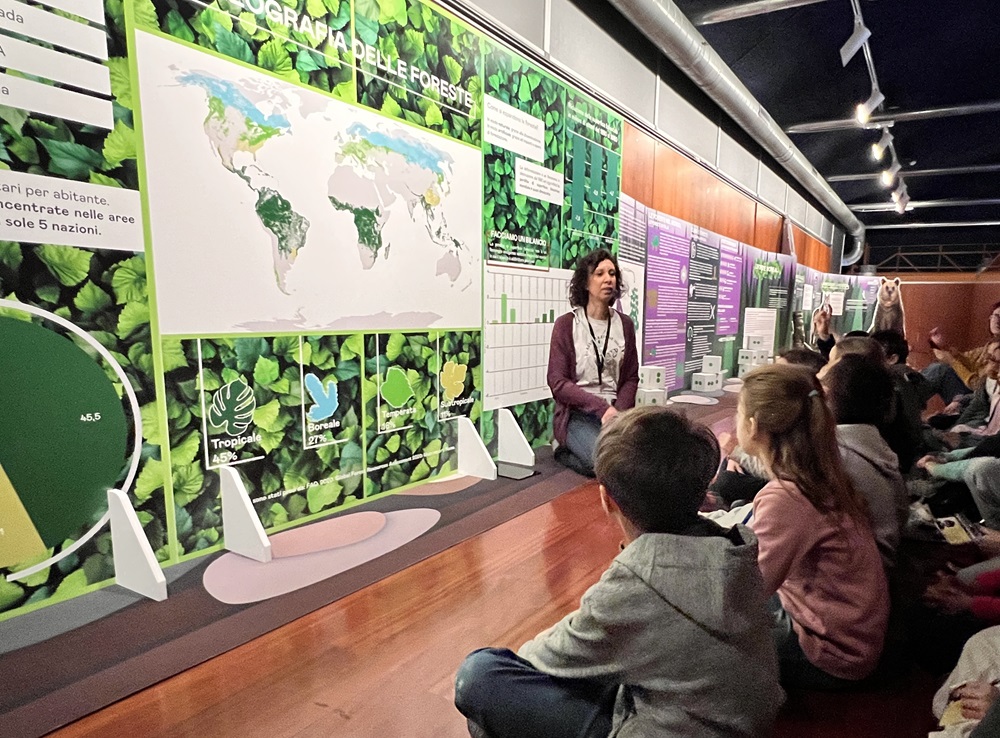 What forests can teach today's society