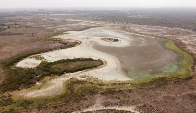 Día mundial de los humedales 2024