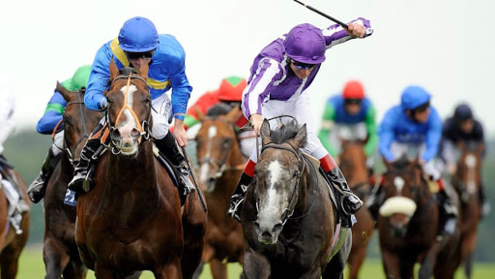 Clandestine horse racing: a business for crime