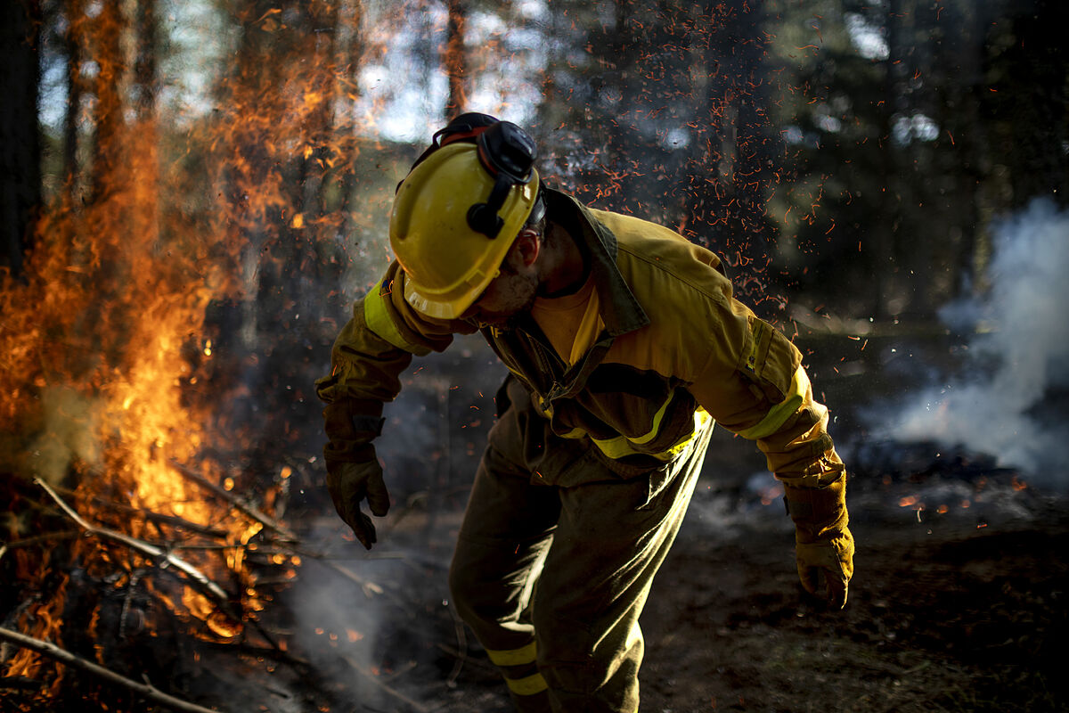 Bomberos forestales MITECO