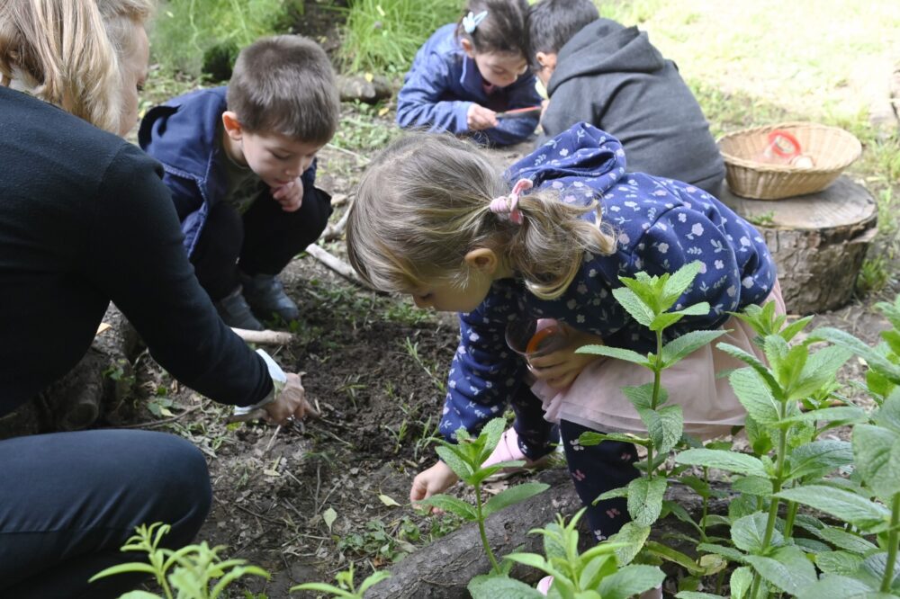 Corners of Biodiversity: four educational projects between nature and school