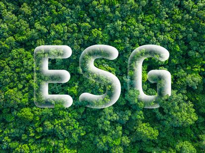 Directiva Europea sobre diligencia debida derechos medio ambientales hito histórico