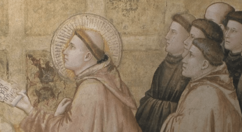 Santa Croce in Florence, the garden of San Francesco is reborn