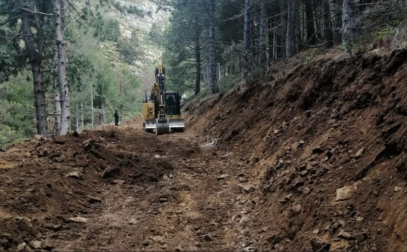 Parque Nacional de la Sierra de Guadarrama ecocidio Najarra organizaciones ecologistas