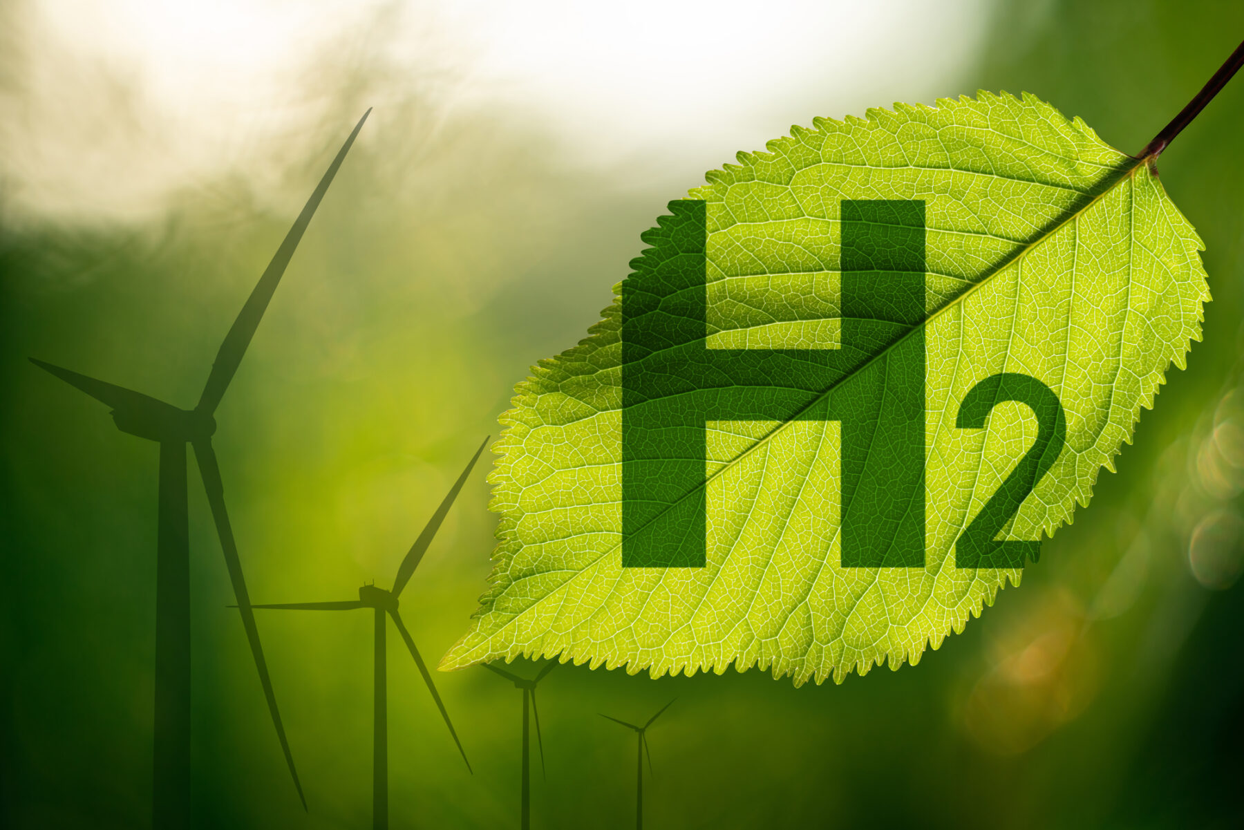 Gas No Es Solución proyecto H2Med Enagas