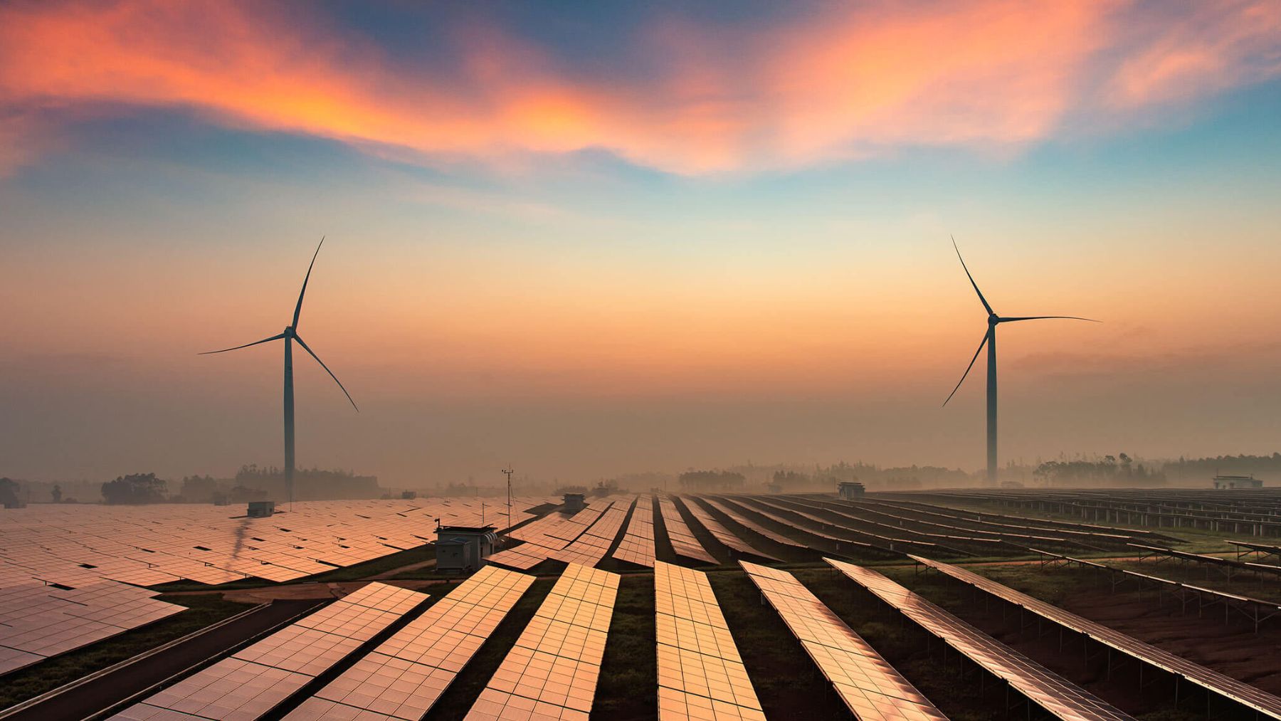 This renewable energy causes 1 million deaths per year: Spain has the solution, but it has no logic