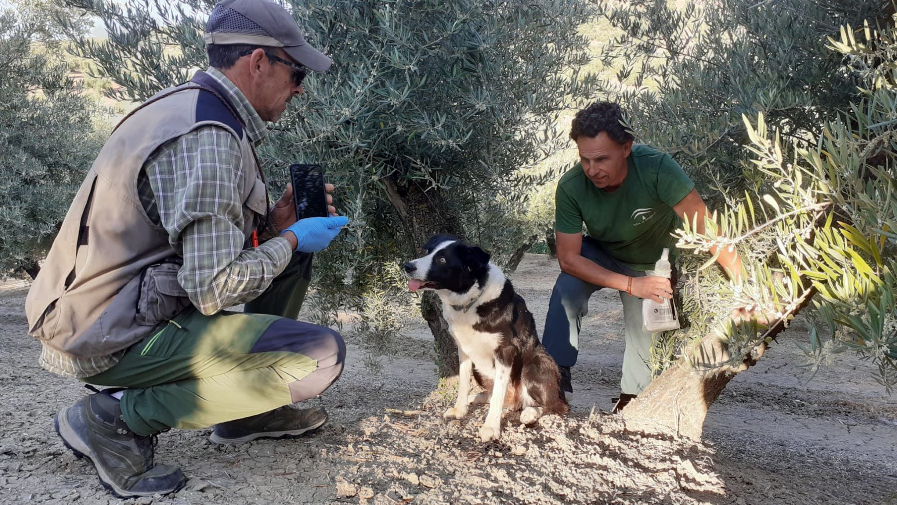 LIFE Lynxconnect unidad canina control lince ibérico