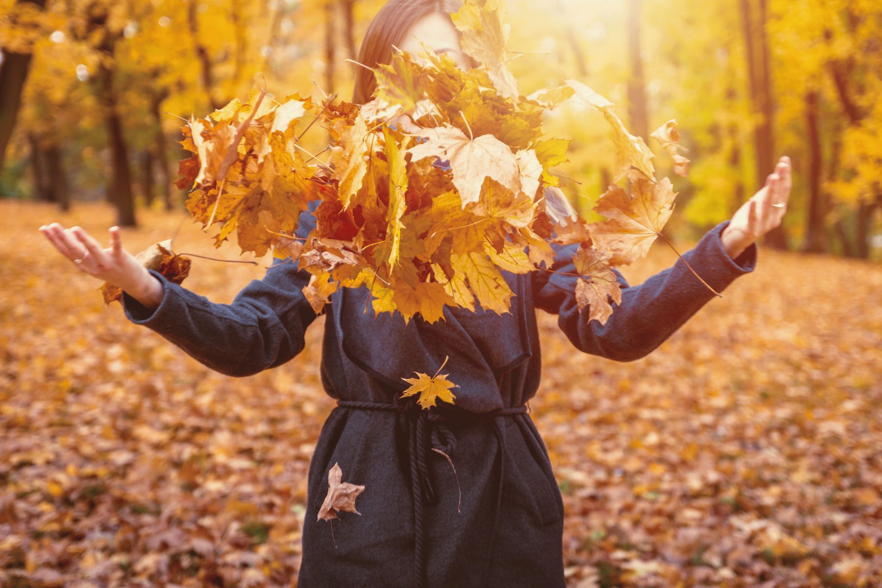 Vidas saludable buenas defensas otoño