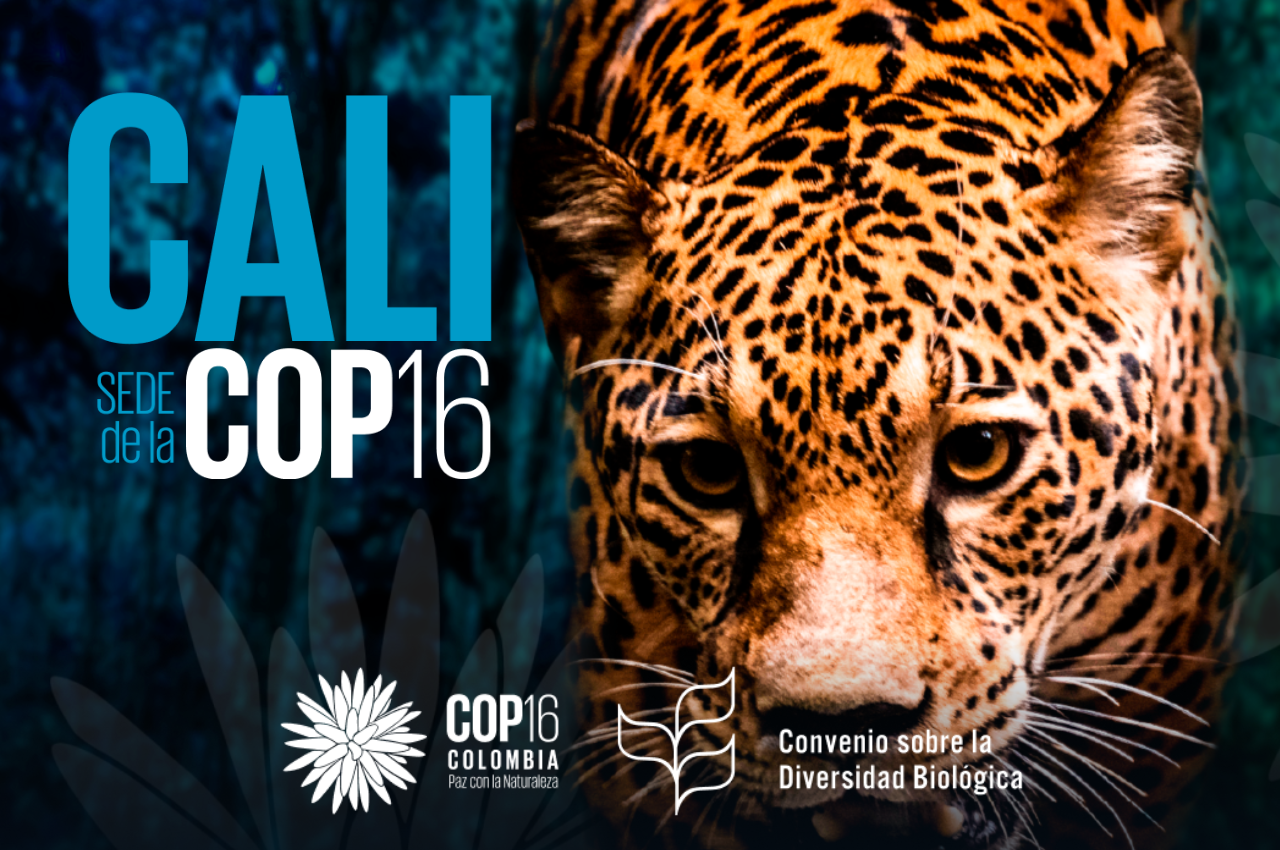 COP16 Biodiversidad Gobierno España