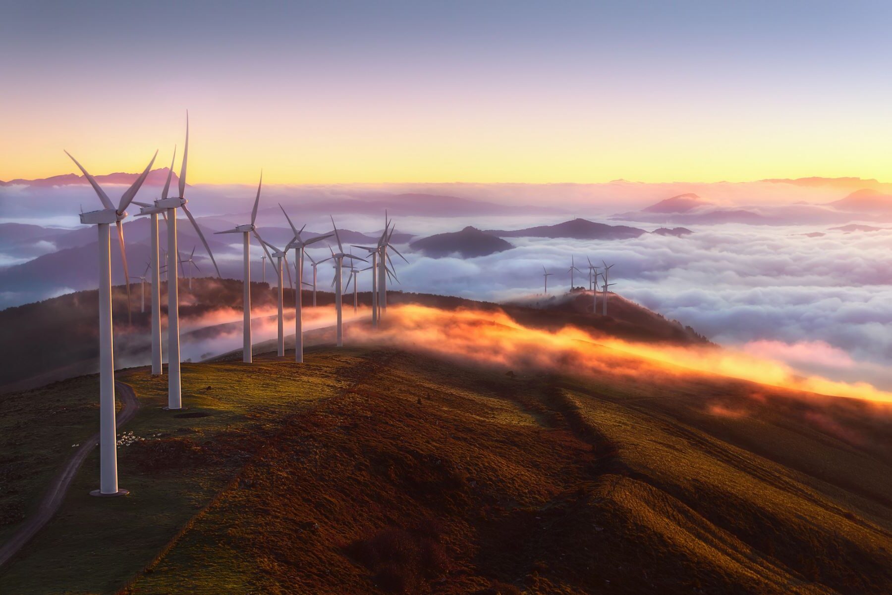 Euskadi renovables cambio climático