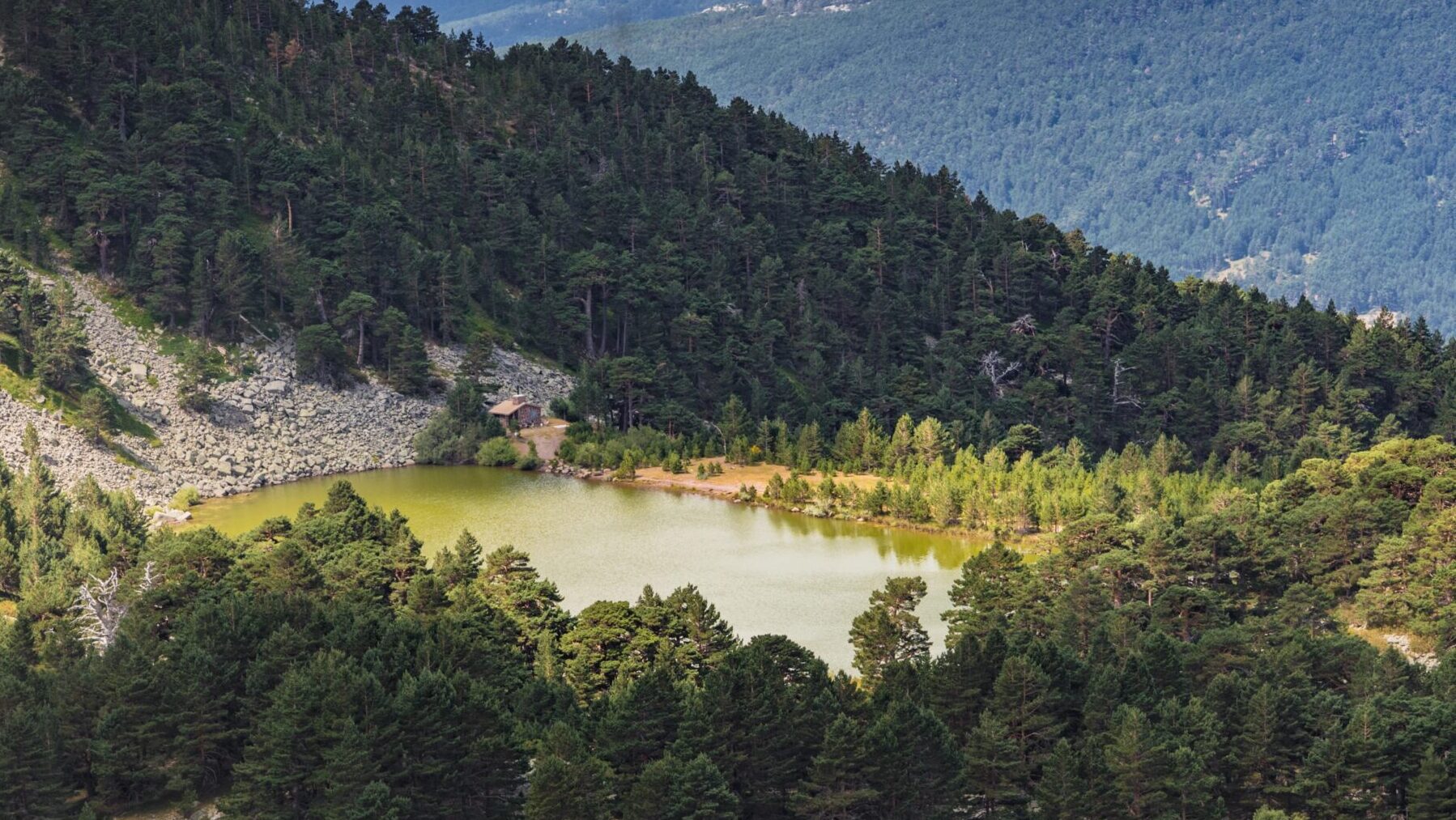 bosques cambio climático Soria