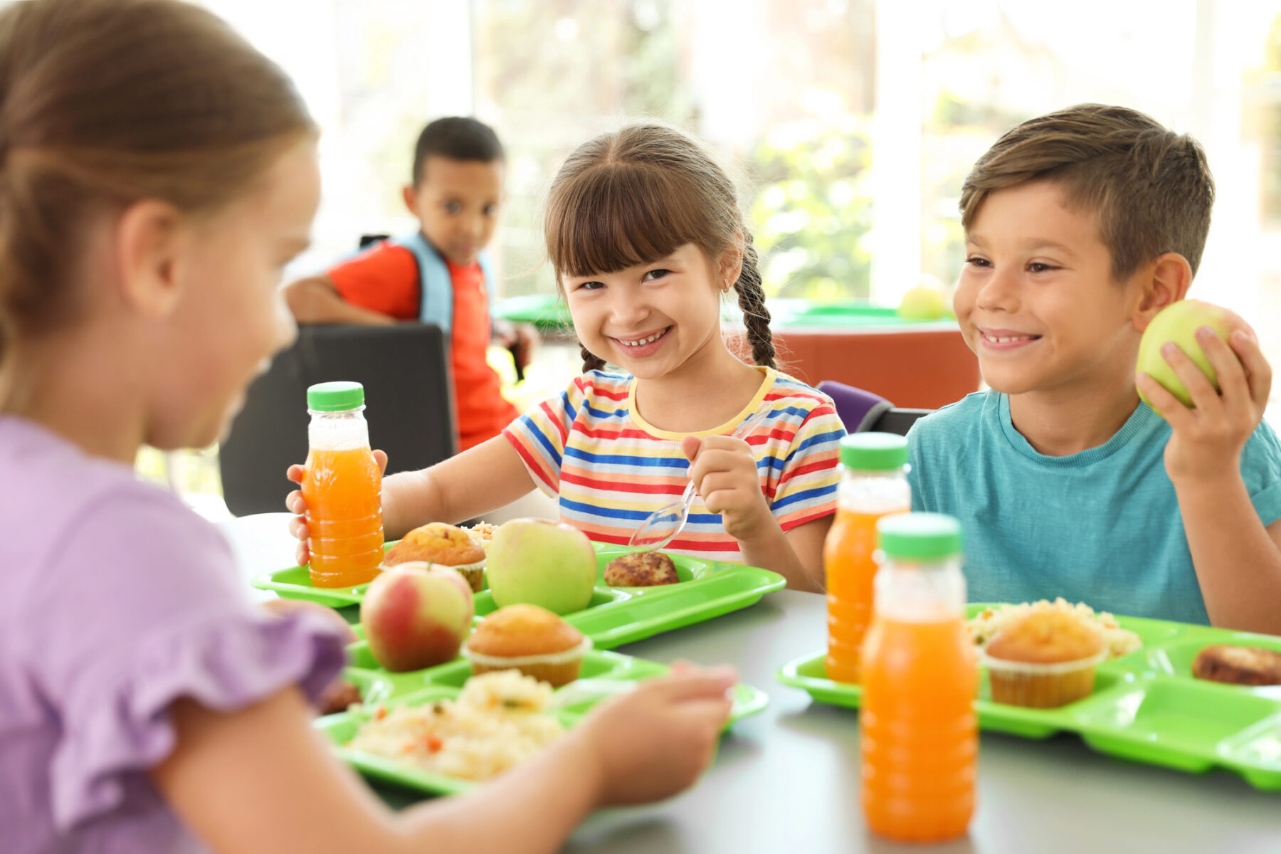 Escuelas comidas saludables ecológicas proximidad