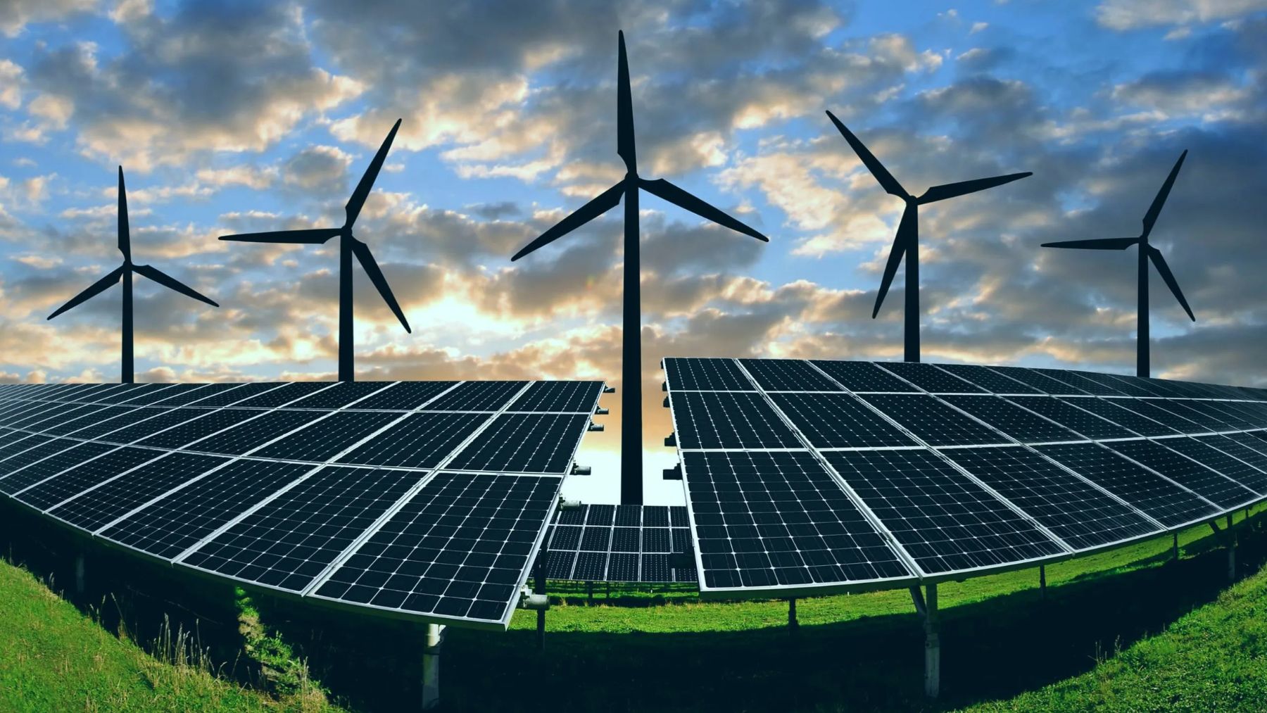 oro negro energias renovables