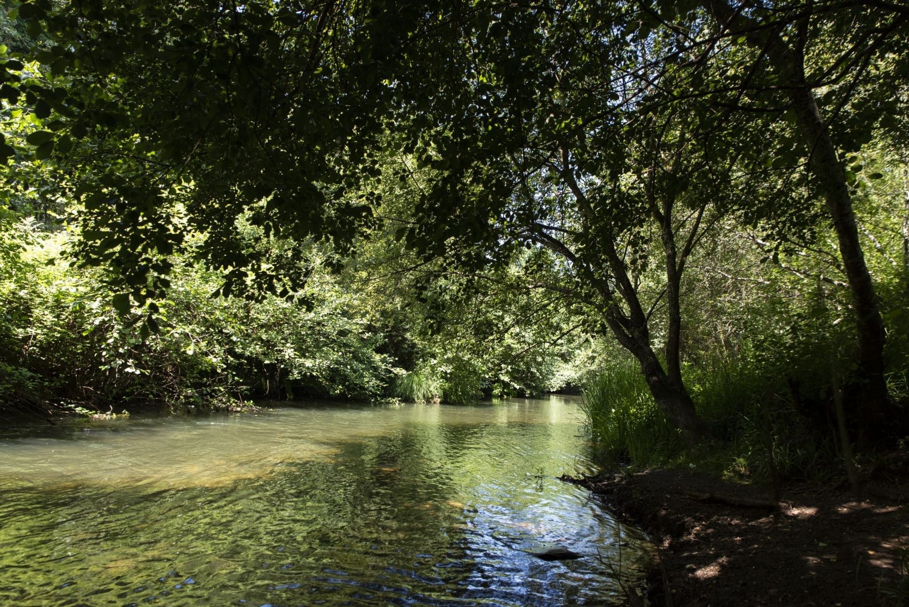 río Mero Cambre