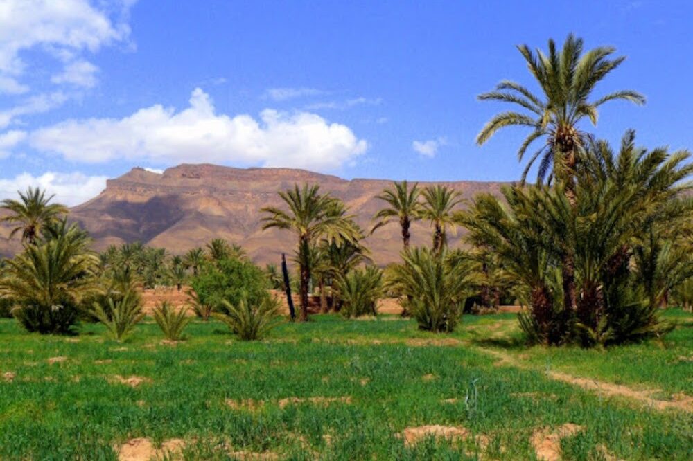 Draa Valley, Morocco, climate crisis, desertification