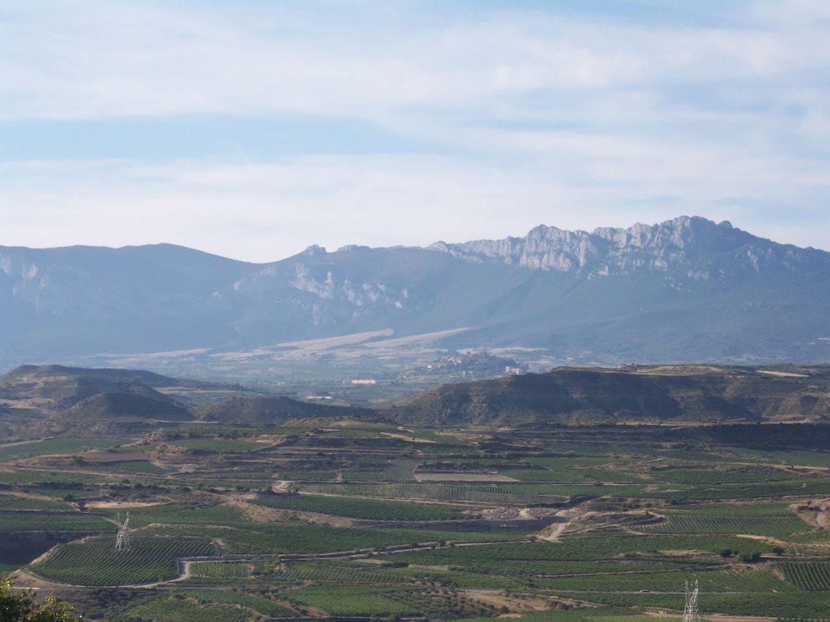 Recuperación ambiental Monte Sierra