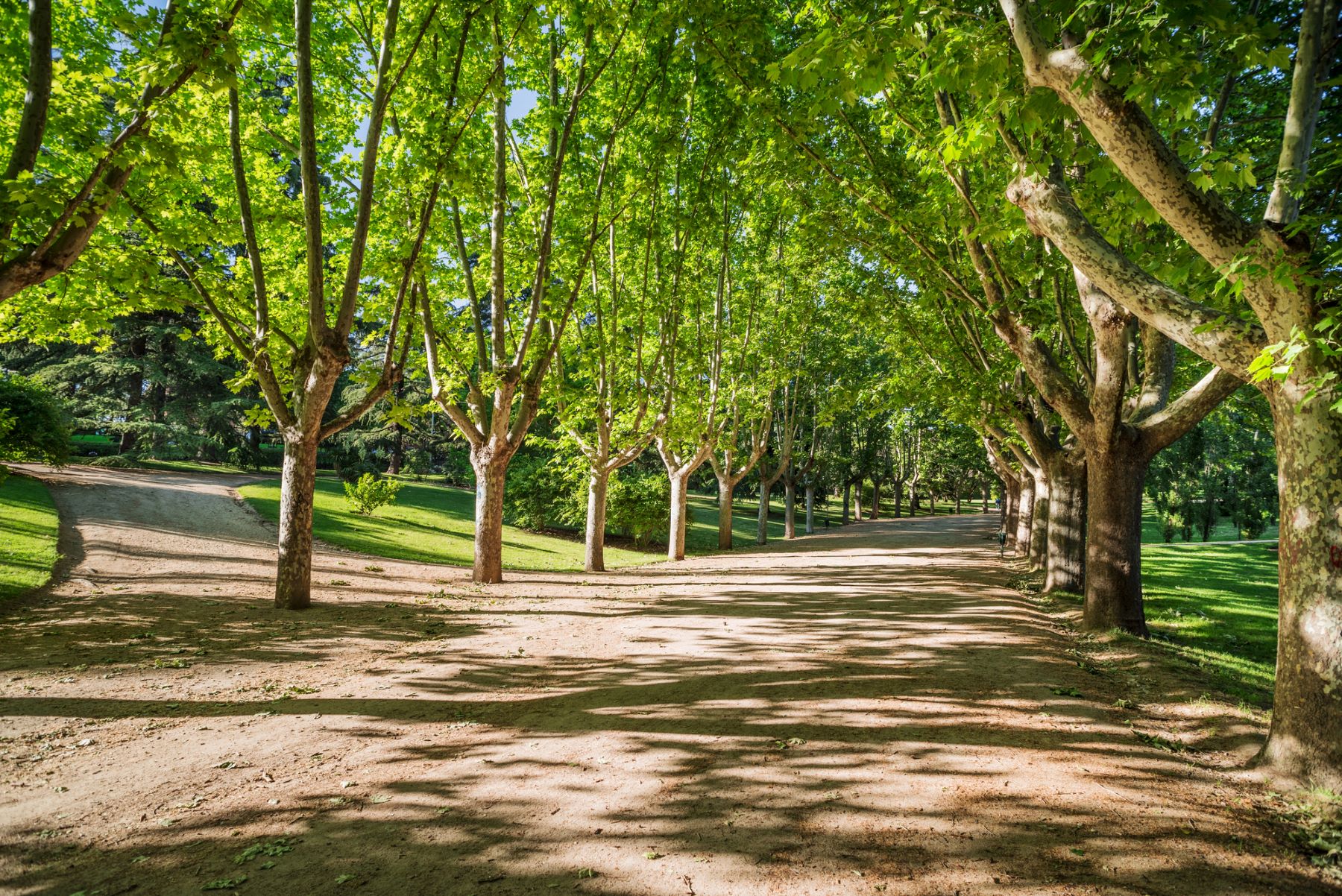 Galicia infraestructura verde naturaleza biodiversidad