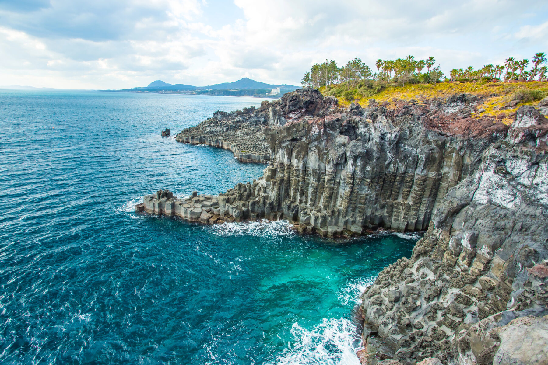 Jeju Corea Día Mundial Medio Ambiente 2025