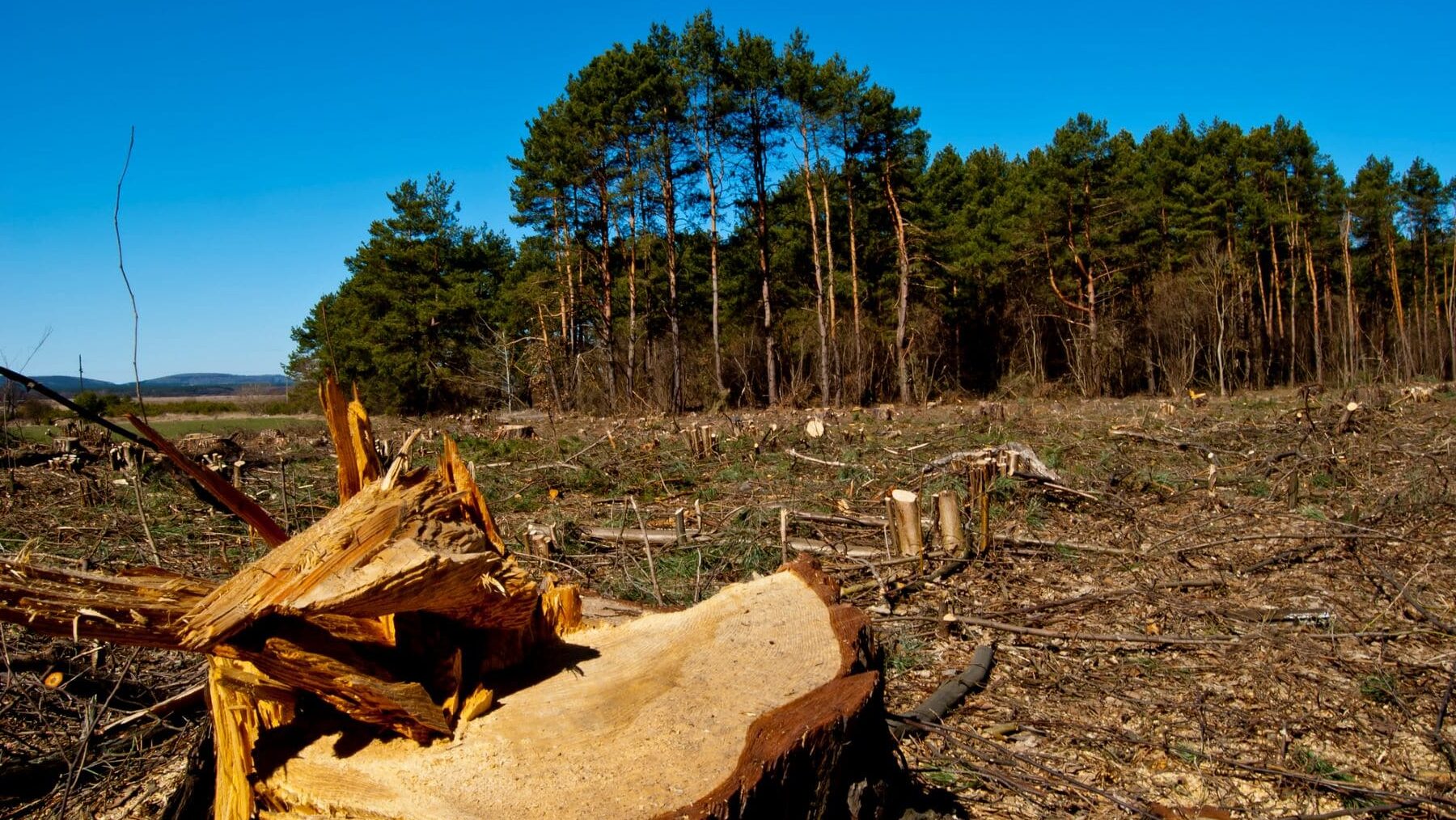 La Rioja Comité Regulación Deforestación CE