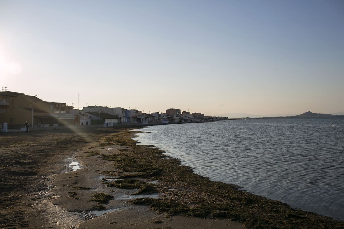 Mar Menor desnitrificar agua