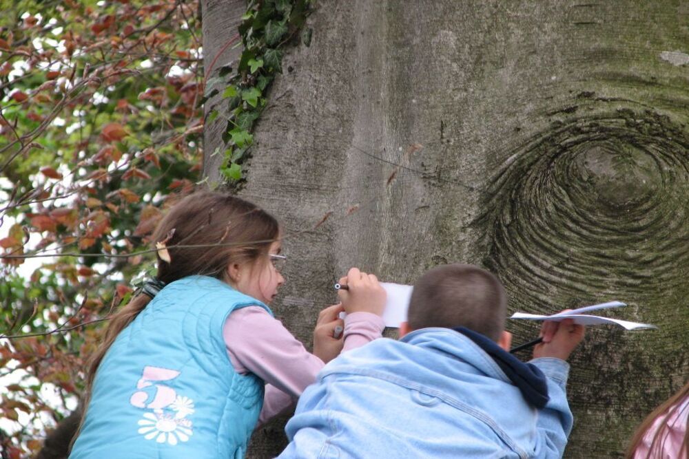 The Forest of the Righteous, sustainability and memory in Friuli