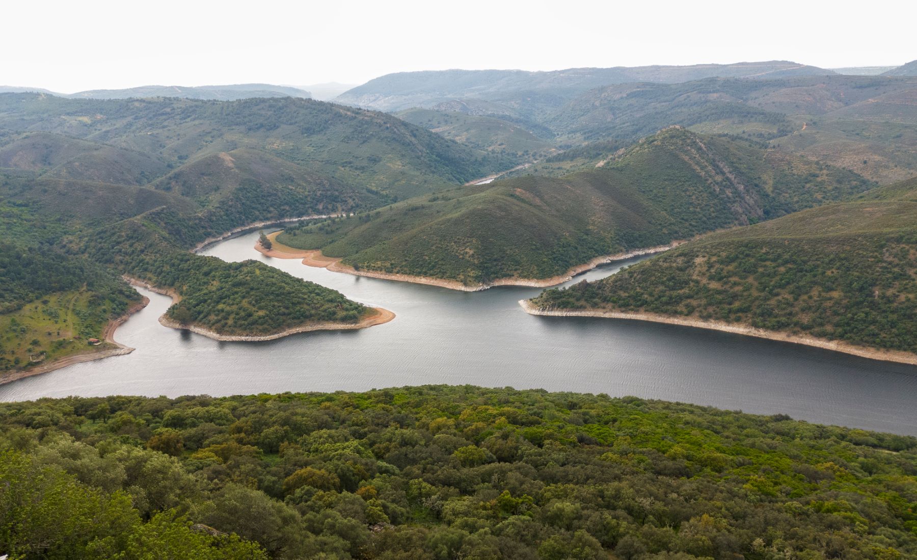 Junta Extremadura gestión sostenible montes