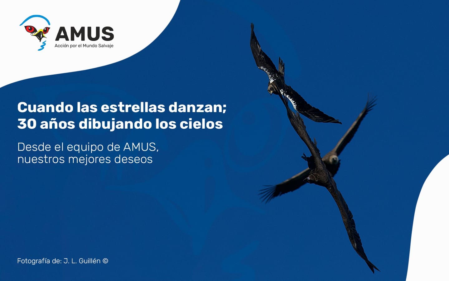 AMUS conservación defensa fauna salvaje