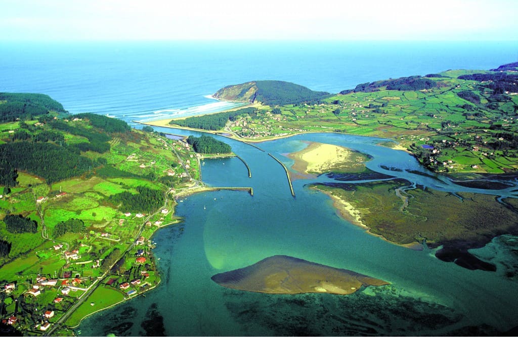 Asturias almeja fina almeja japonesa ría Villaviciosa