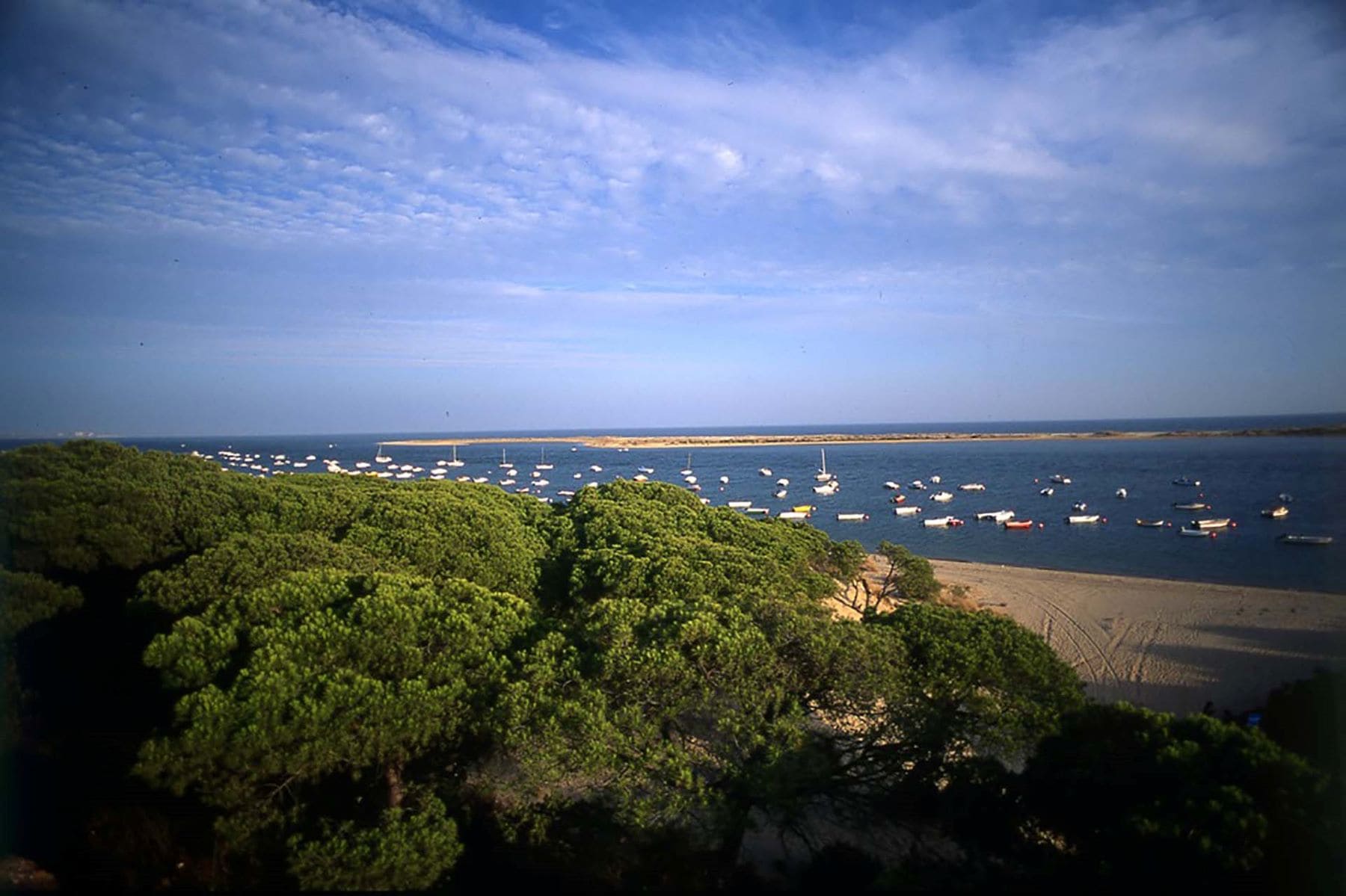 Dehesa Estero Montes Moguer Dunas Odiel Marisma Carboneras Estuario Río Piedras zonas especiales conservación zec