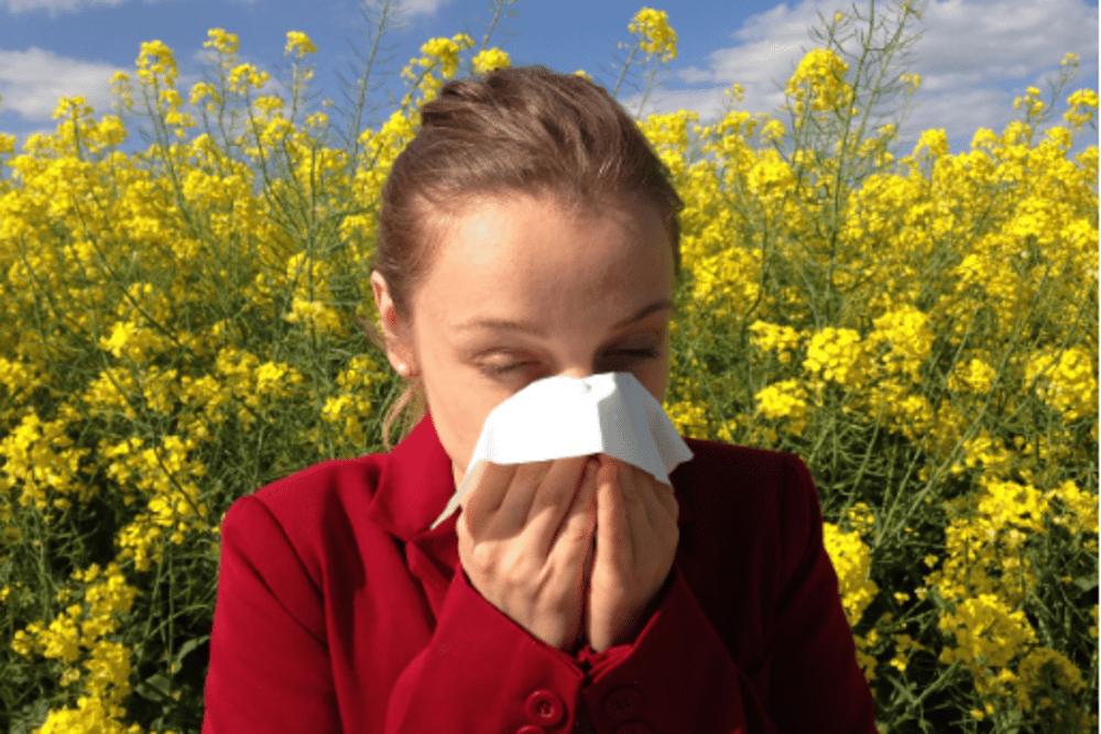 Enea, a model is coming to monitor pollen and prevent allergies