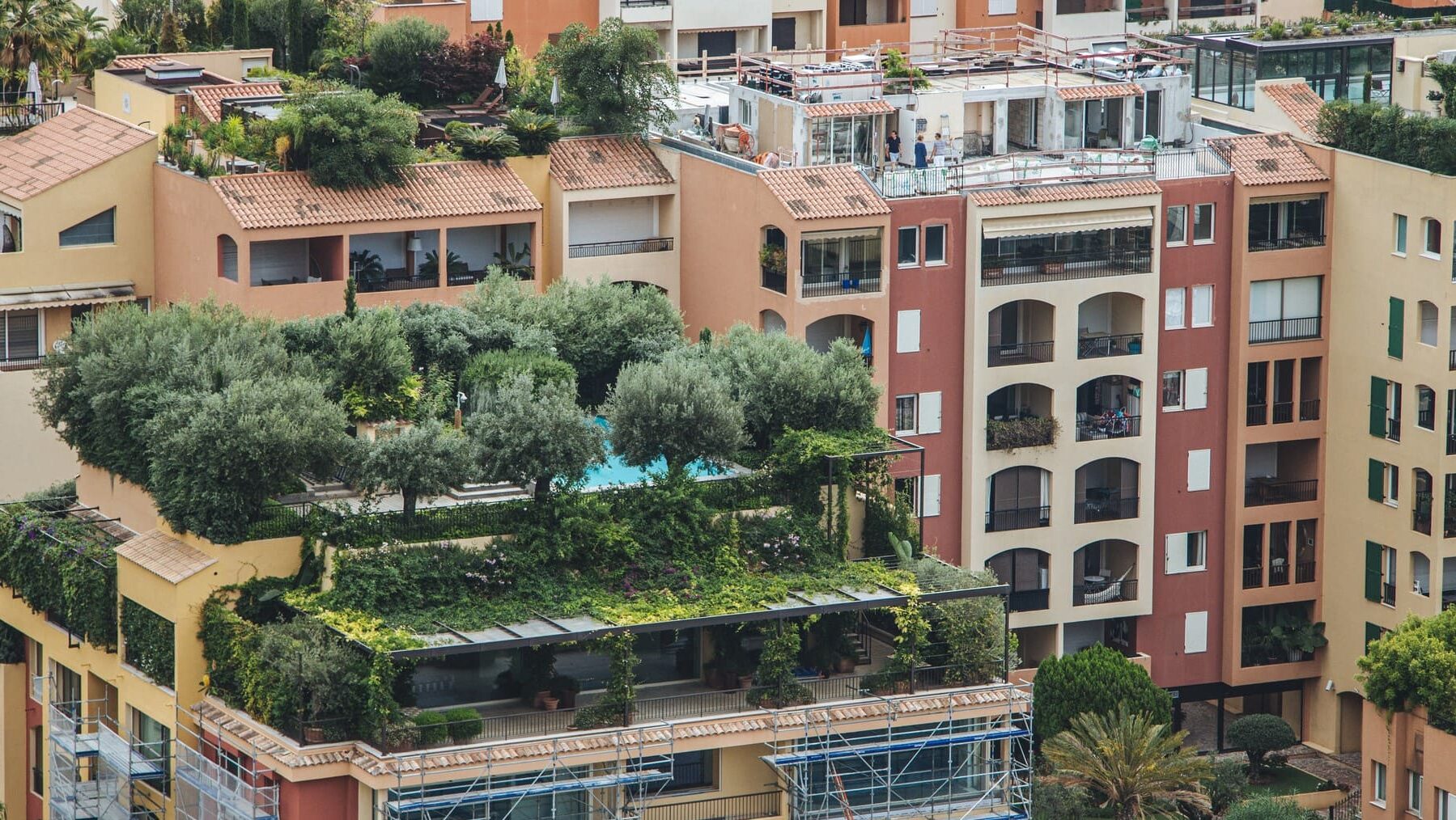 Madrid Plan Azoteas Verdes naturalizar cubiertas