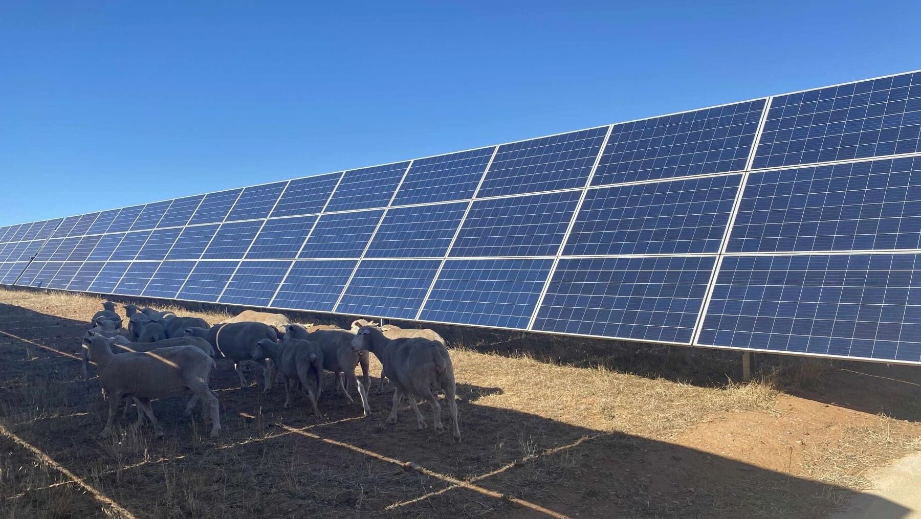 PASTOREO FV energías renovables Extremadura