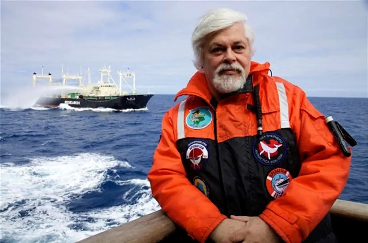 Paul Watson ballenas Japón