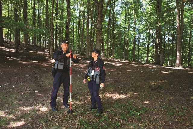 Smart Forest Monitoring and environmental sustainability