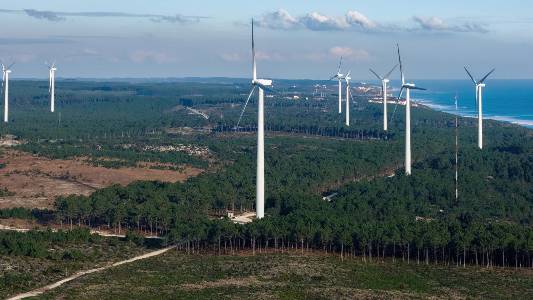 PTS energías renovables Euskadi