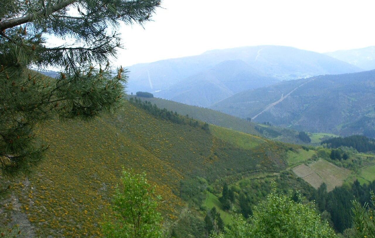 montes públicos Ibias