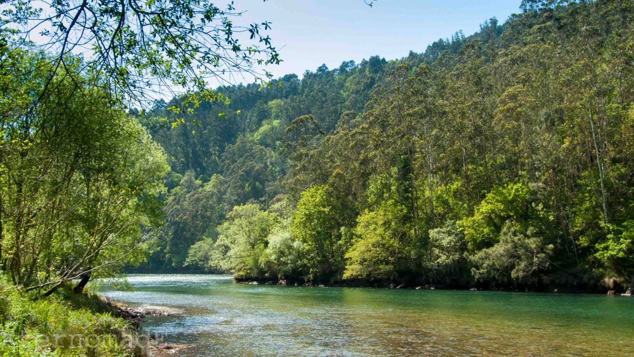 Galicia Parque Natural Fragas Eume