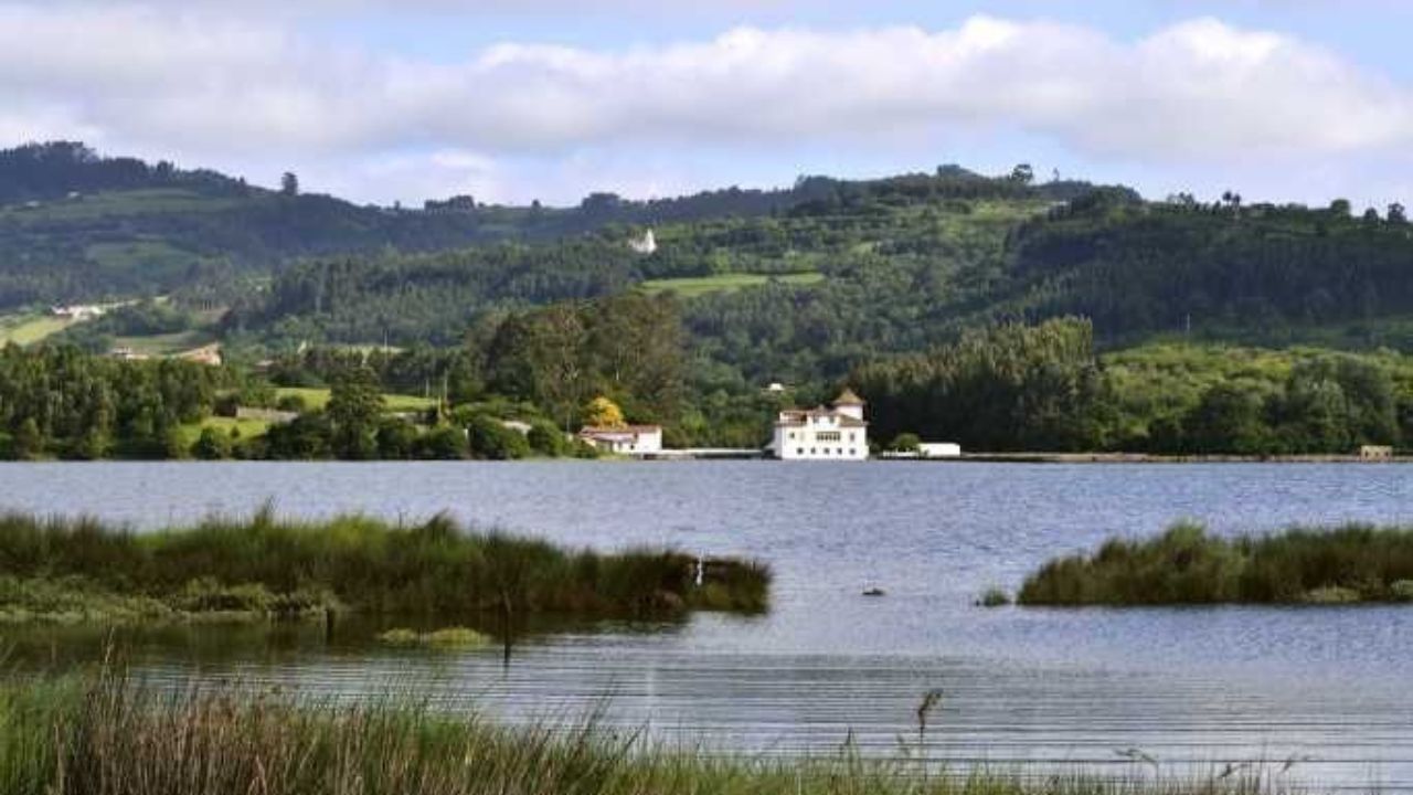 humedales porreos reserva natural ría Villaviciosa Asturias