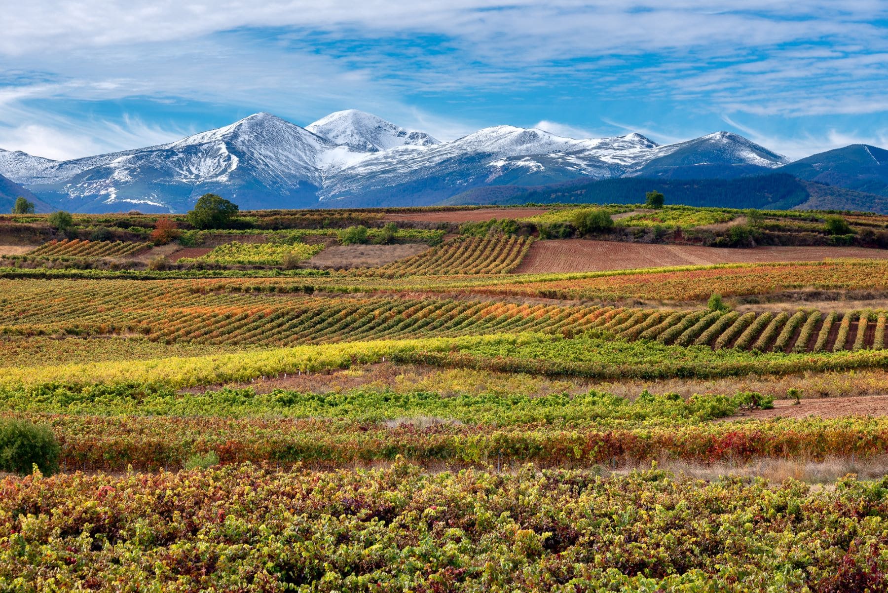 La Rioja Ley Biodiversidad